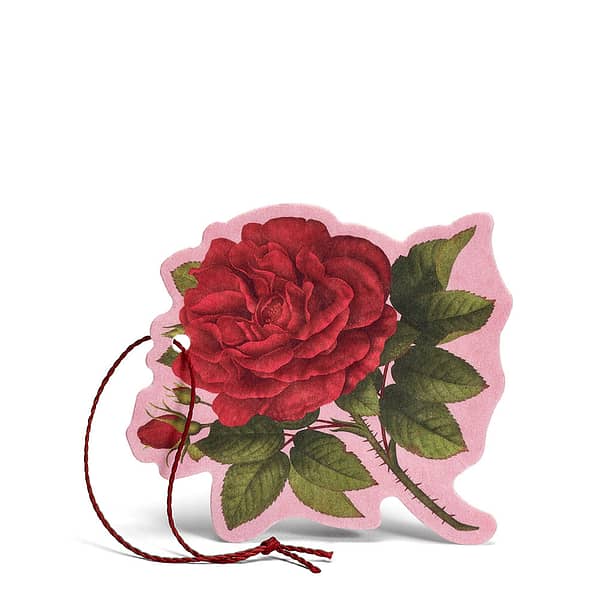 L'ERBOLARIO Rosa Puprurea - Fiore Profumato Multiuso (Αρωματικό Λουλούδι Πολλαπλών Χρήσεων)